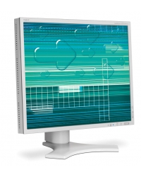 MONITOR NEC LCD 21
