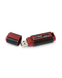  FLASHDRIVE DT310/256GB