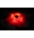 Wentylator do obudowy (8cm ciemnoczerwony LED) (RL022)
