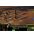 Gra Pc XK Act of War Z�ota Edycja
