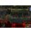 Gra Pc XK Act of War Z�ota Edycja
