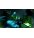Gra Xbox 360 Mirror"s Edge
